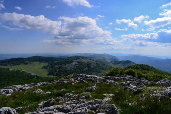 Casuta De La Munte Ξενοδοχείο Sfodea Εξωτερικό φωτογραφία